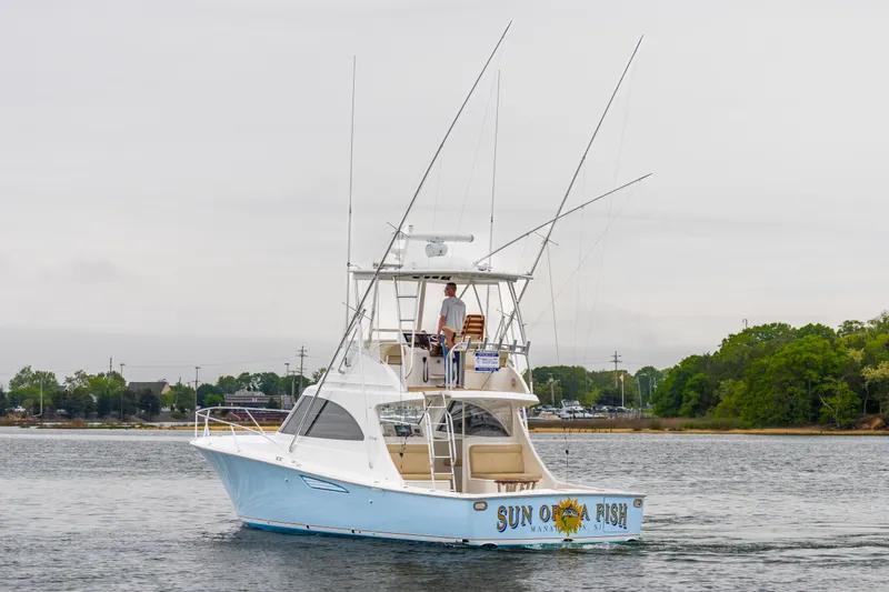 Sun Of A Fish Yacht Photos Pics 