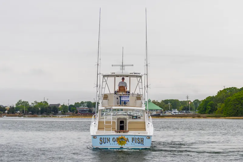 Sun Of A Fish Yacht Photos Pics 