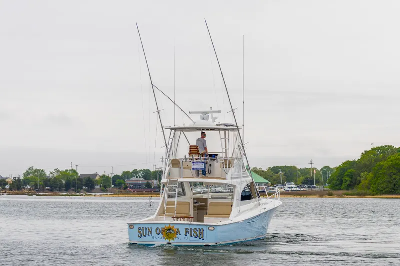 Sun Of A Fish Yacht Photos Pics 