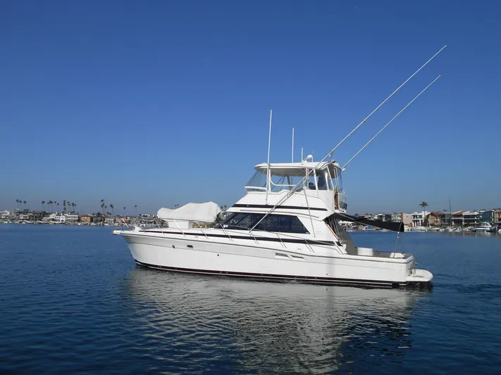 Yacht Z Yacht Photos Pics 