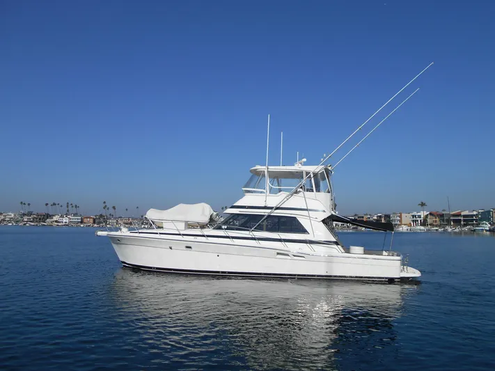 Yacht Z Yacht Photos Pics 