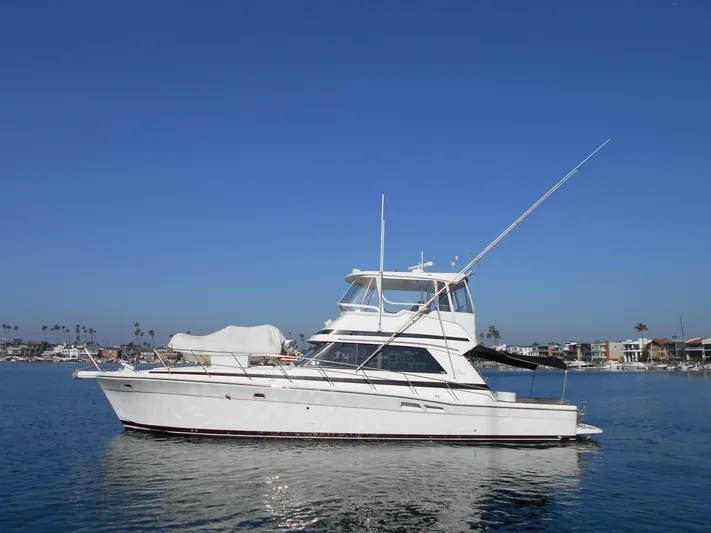 Yacht Z Yacht Photos Pics 