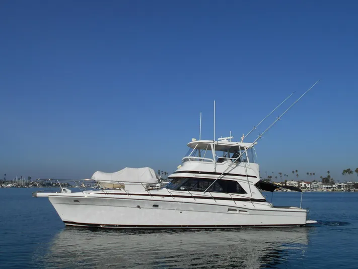 Yacht Z Yacht Photos Pics 