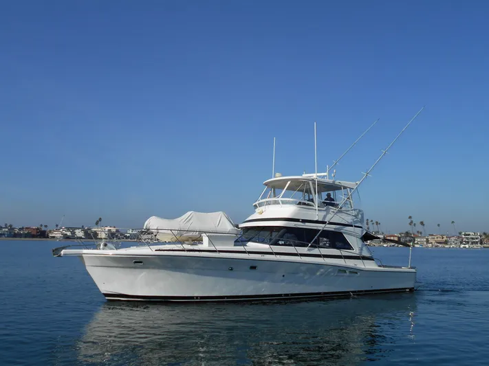 Yacht Z Yacht Photos Pics 