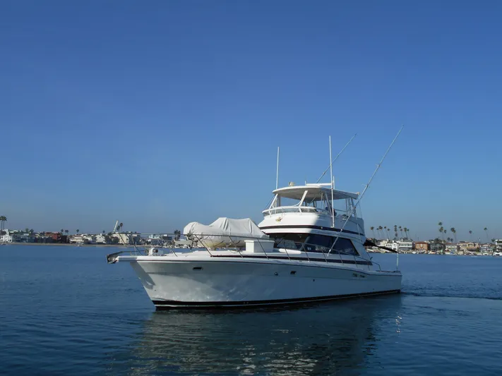 Yacht Z Yacht Photos Pics 