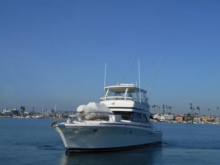 Yacht Z Yacht Photos Pics 