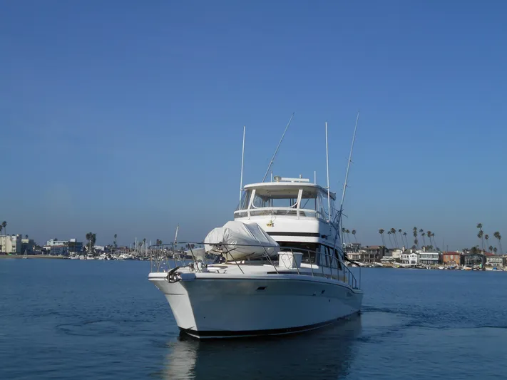 Yacht Z Yacht Photos Pics 