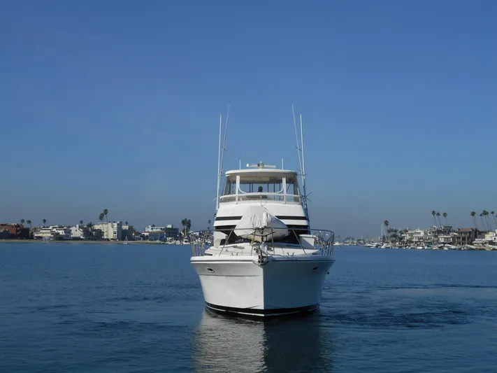 Yacht Z Yacht Photos Pics 