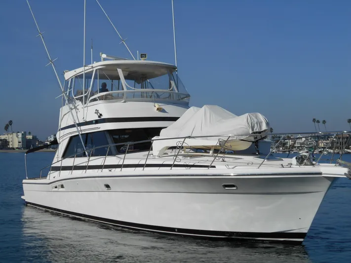 Yacht Z Yacht Photos Pics 
