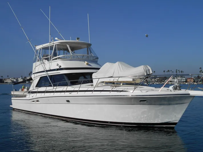 Yacht Z Yacht Photos Pics 