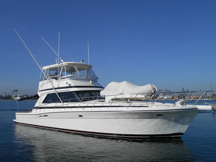 Yacht Z Yacht Photos Pics 