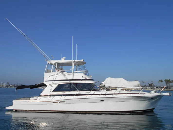 Yacht Z Yacht Photos Pics 