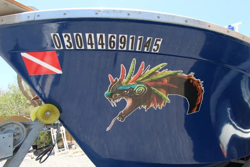  Yacht Photos Pics 2022 Grady-White Canyon 336 boat with colorful dragon decal and dive flag.