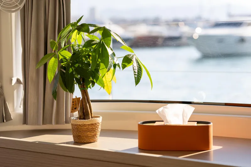 Aura Yacht Photos Pics Potted plant and tissue box on Lagoon 46 yacht window ledge, 2024 model.