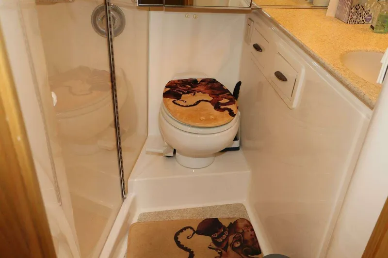  Yacht Photos Pics Bathroom in 2001 Tiara Yachts 4300 Open, featuring octopus-themed decor.