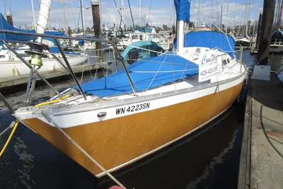 Irwin Competition 30