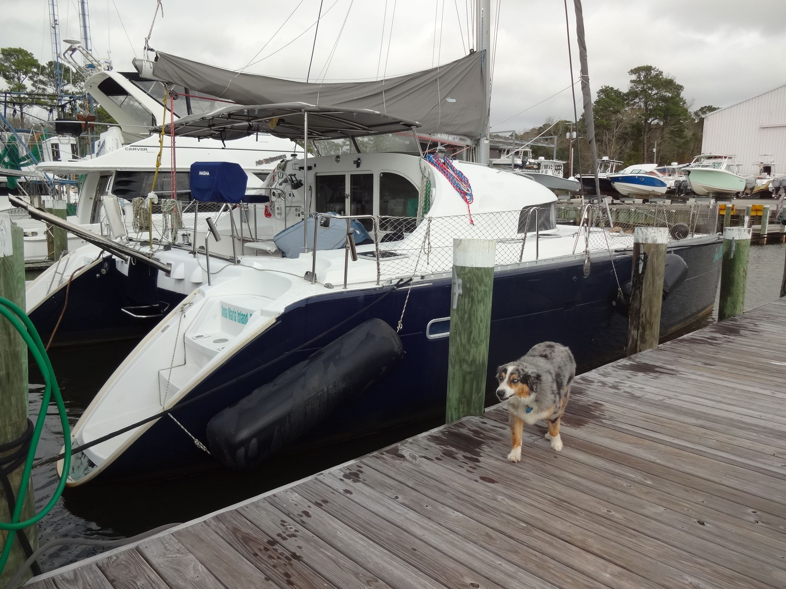 2003 Lagoon 410 catamaran docked with a dog nearby.