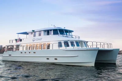 Suncoast 65