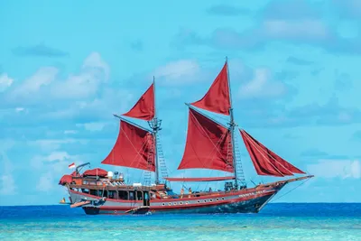 Schooner Phinisi 100ft