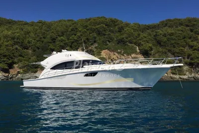 2010 Bertram 54