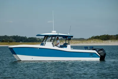 Prowler 31