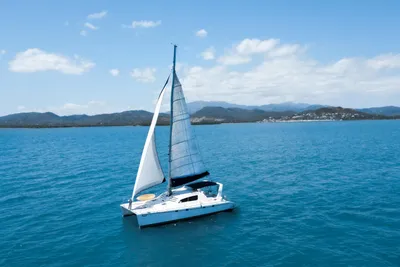 2003 Leopard 47