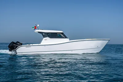 SilverCAT 34HT