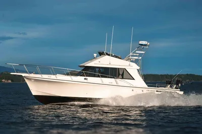 Double Eagle Flybridge 34 Custom
