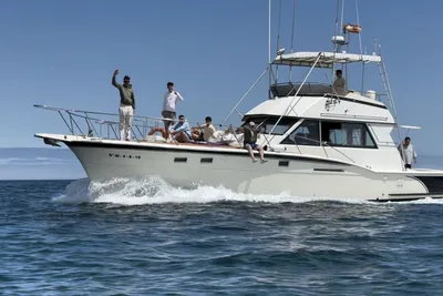 1979 Hatteras 46 Convertible