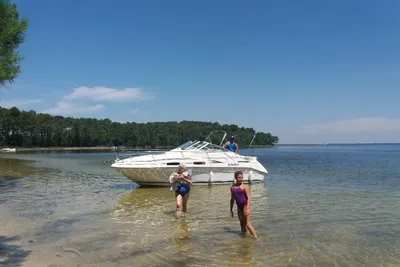 1995 Sea Ray 230 Sundancer