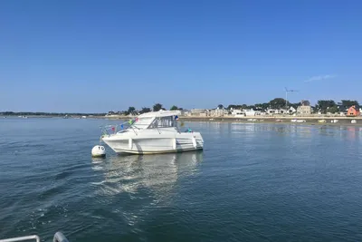 2011 Jeanneau Merry Fisher 595