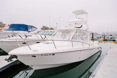 Everglades 350LX