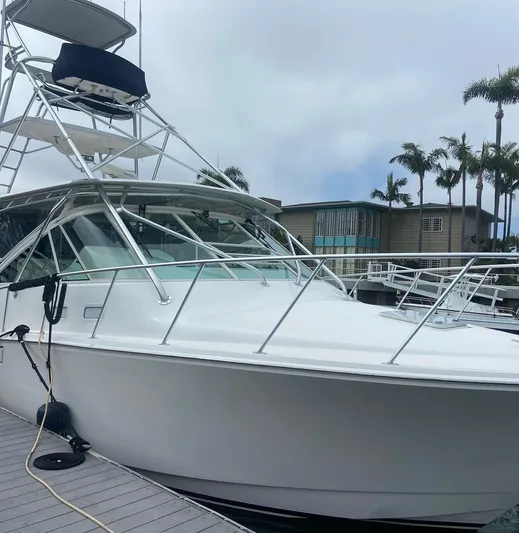 Dialed In Yacht Photos Pics 