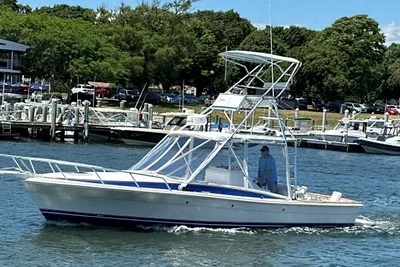 Strike 29 Sportfisherman