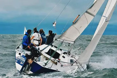 1978 Michel Joubert Extra Paulette ¼ Tonner