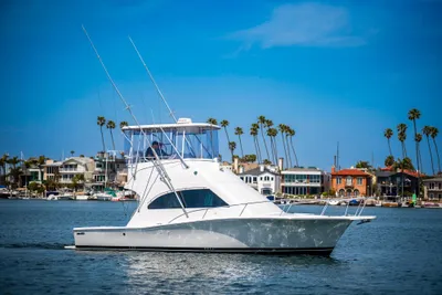 Luhrs 34 Convertible