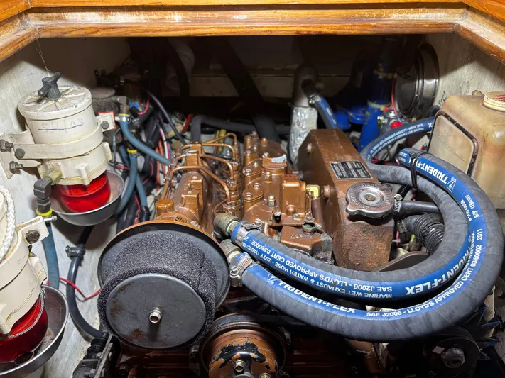 Emerald Star Yacht Photos Pics 