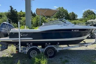 Scout 225 Dorado