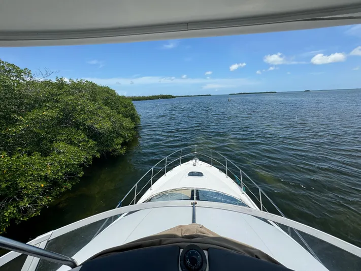  Yacht Photos Pics 2007 Sea Ray 36 Sedan Bridge navigating calm waters near lush green shoreline.