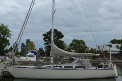Abbott 36