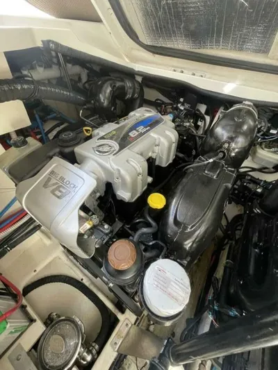 Tin Cup Chalice Yacht Photos Pics Engine compartment of a 2019 Sea Ray Sundancer 350 Coupe boat.
