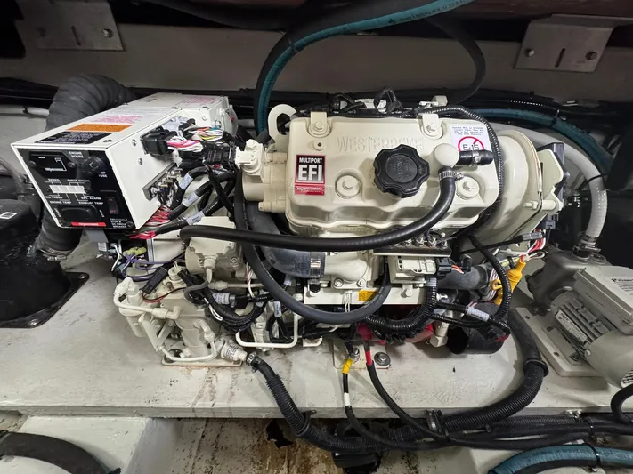 Marlin Yacht Photos Pics 