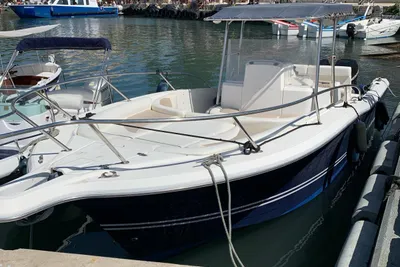 White Shark 285