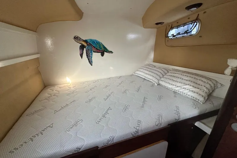  Yacht Photos Pics Cozy cabin interior of 1998 Fountaine Pajot Bahia 46 with turtle wall art.