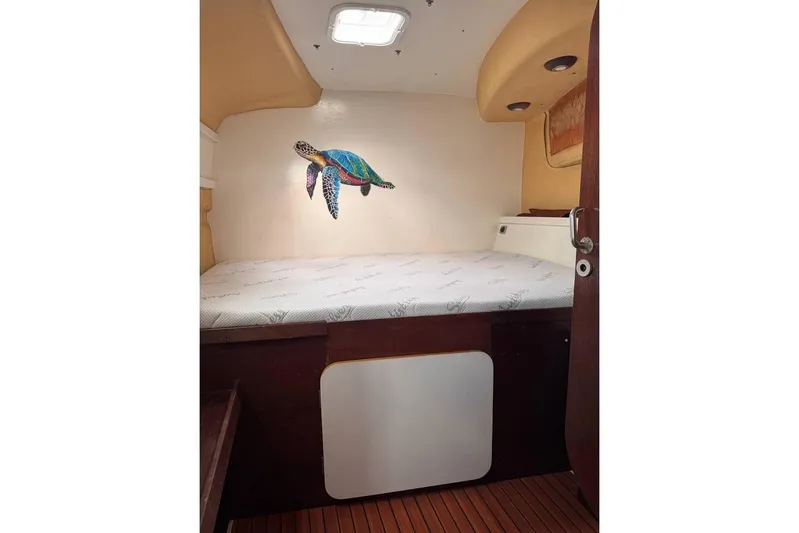  Yacht Photos Pics Cabin interior of 1998 Fountaine Pajot Bahia 46 with turtle wall art.