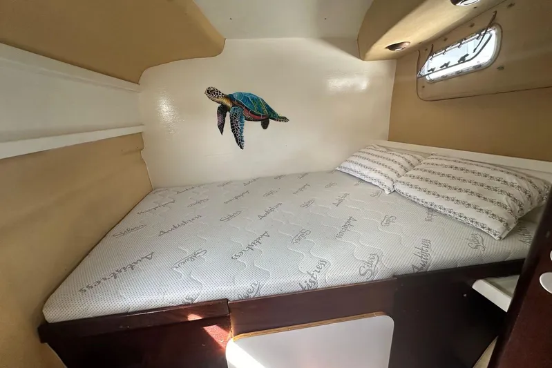  Yacht Photos Pics Cozy cabin interior of 1998 Fountaine Pajot Bahia 46 with turtle decor and comfortable bedding.