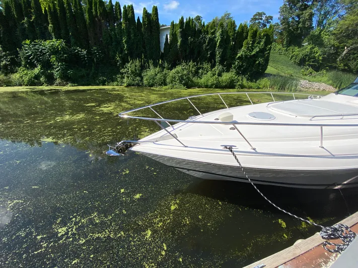 Waypointe Yacht Photos Pics 