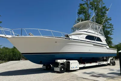 Bertram 60 Convertible