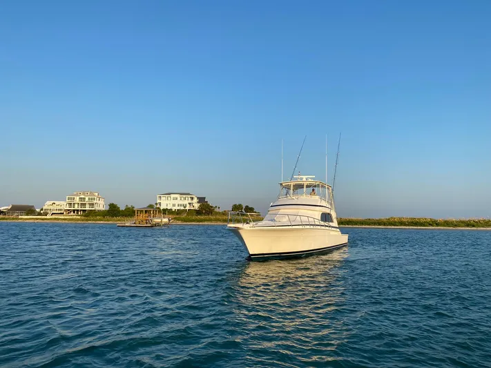 Satisfaction Yacht Photos Pics 1999 Bertram 60 Convertible yacht on calm waters near coastal homes.