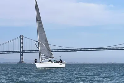 Wyliecat 48